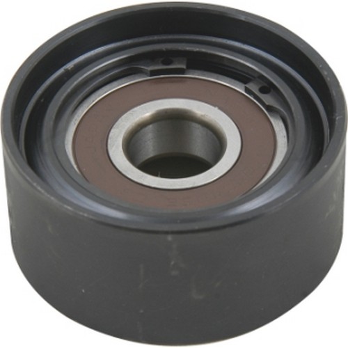 KAYIŞ GERGİ KASNAĞI 