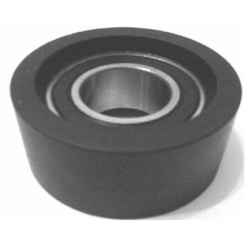 KAYIŞ GERGİ KASNAĞI 